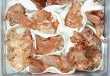 Lot: Natural, Red Quartz Crystals - Pieces #80920-4